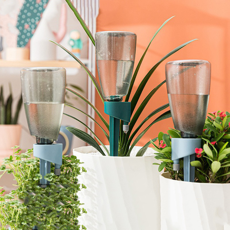 Succulent Set - Yeni Otomatik Çiçek Sulama Cihazı Bahçe