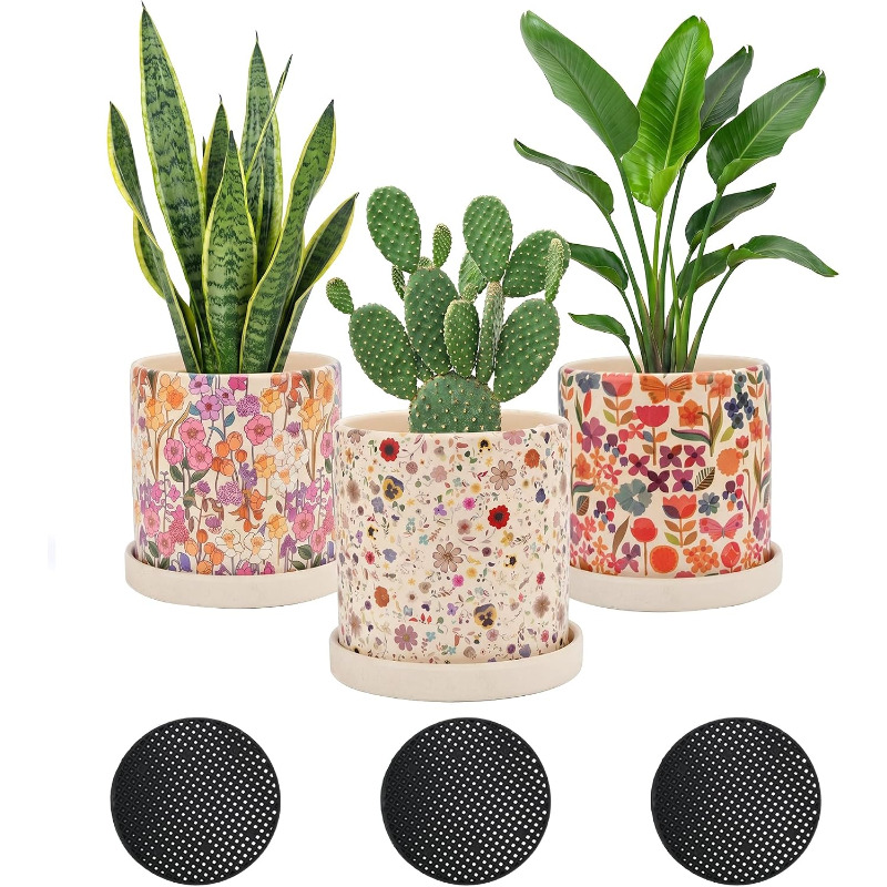 Snake Plant Ceramic - 3 Adet Drenaj Delikli Seramik Saksı,