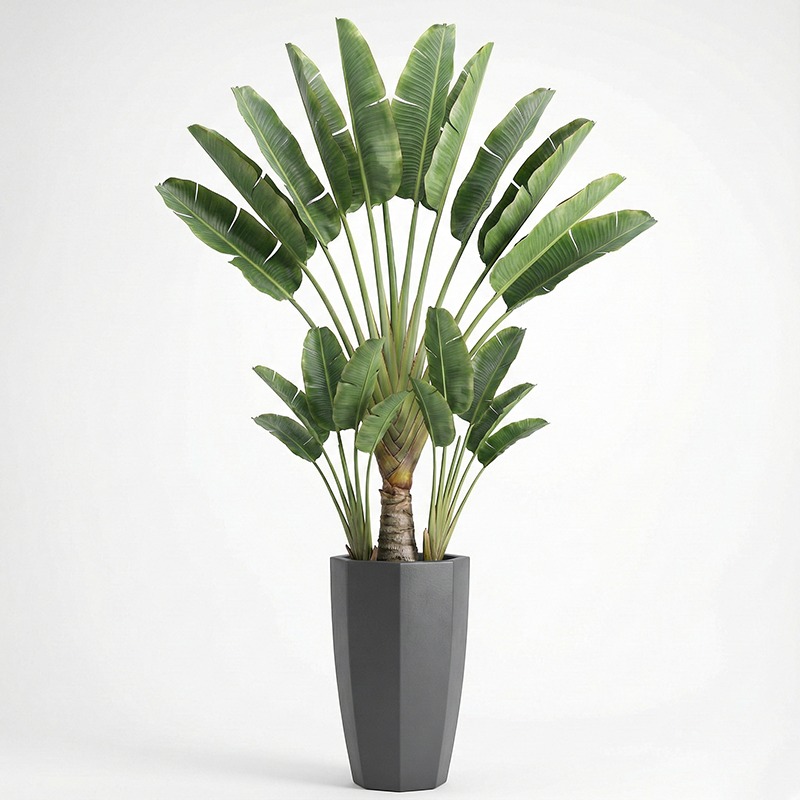 Fiddle Leaf Fig - Yüksek Simülasyonlu Plastik Keman Yaprağı İncir