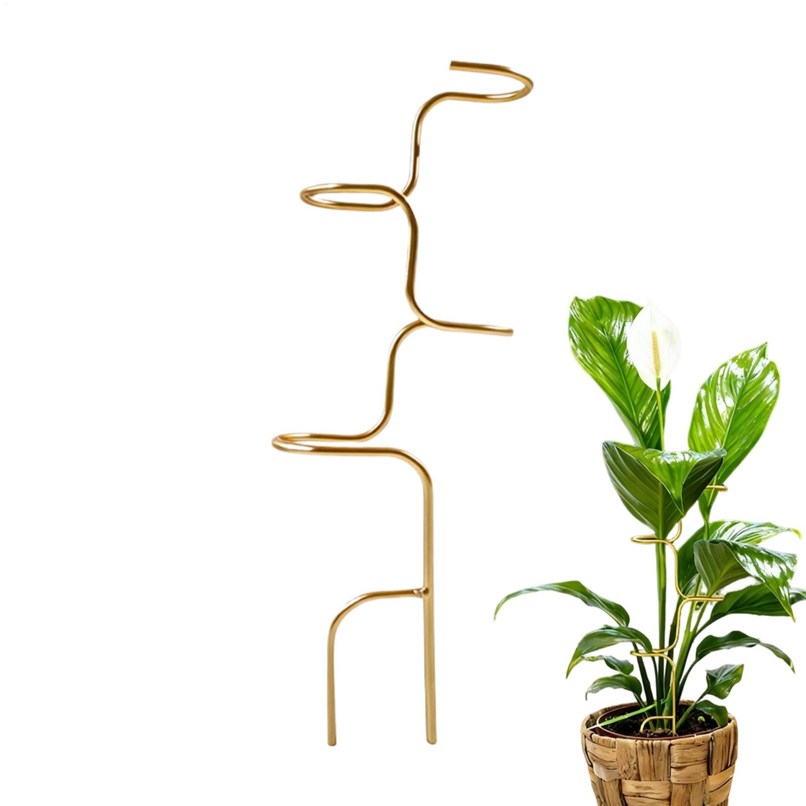 Plant Support Stake - Bahçe Bitkisi gövde sabitleme destek çerçevesi