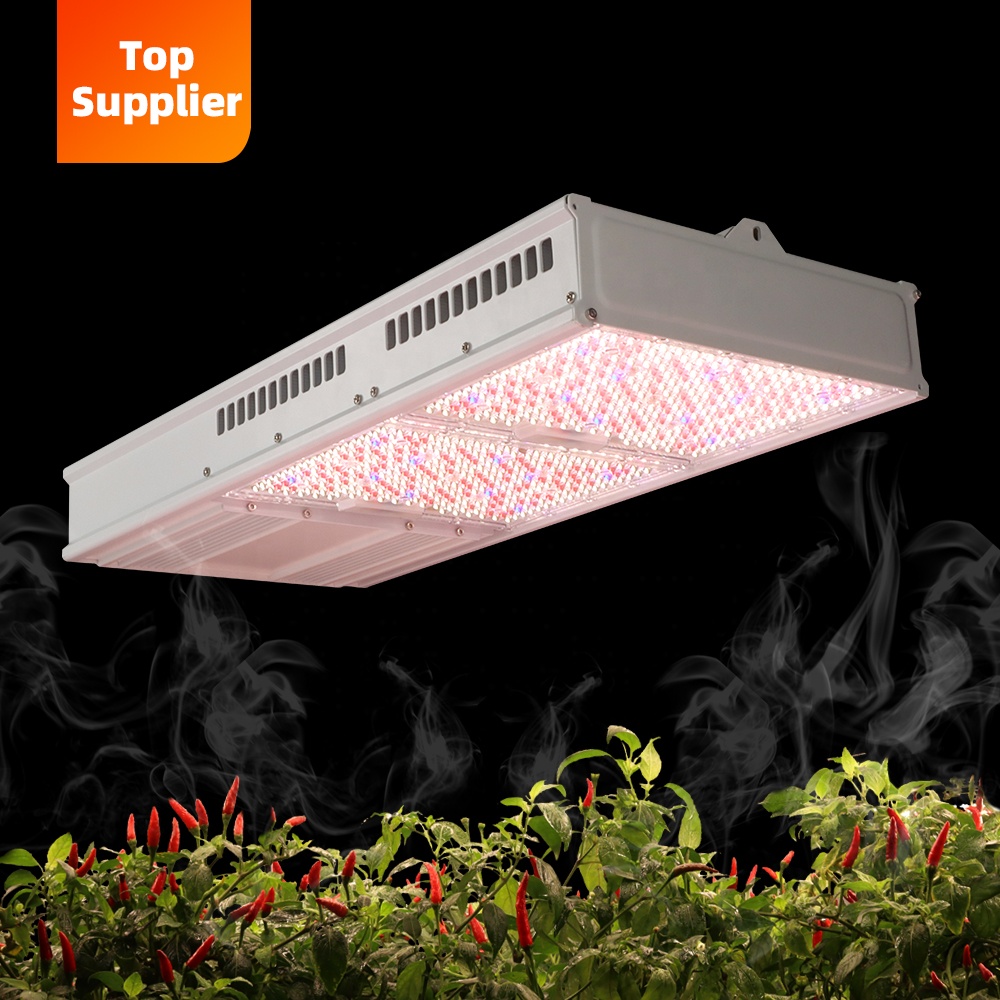Uygun Maliyetli 600W 800W Topl - Indoor Plants incelemesi ve fiyatı