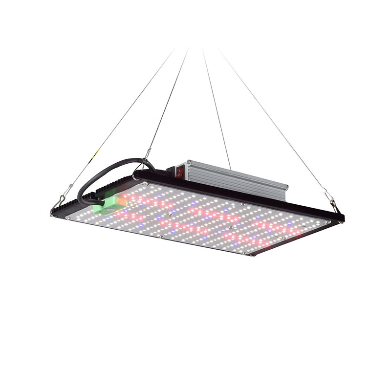 LED Kuantum Panel Bitki Yetişt - Indoor Plants incelemesi ve fiyatı
