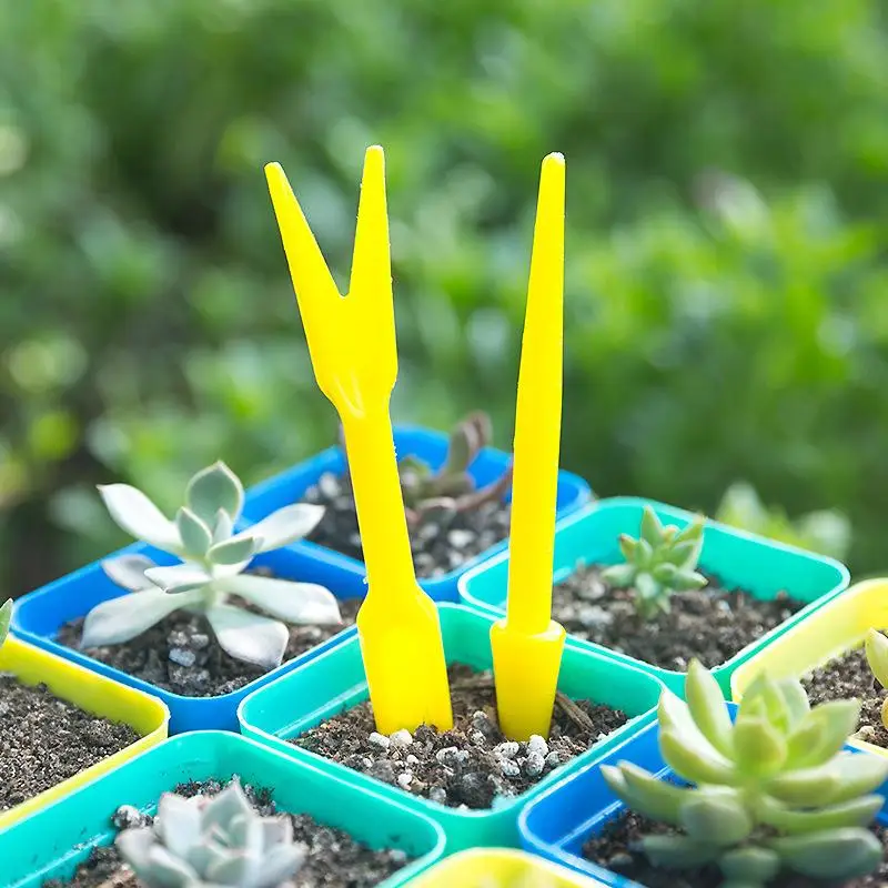 1/10 adet Ekim Succulents Nakl - Succulent Set incelemesi ve fiyatı