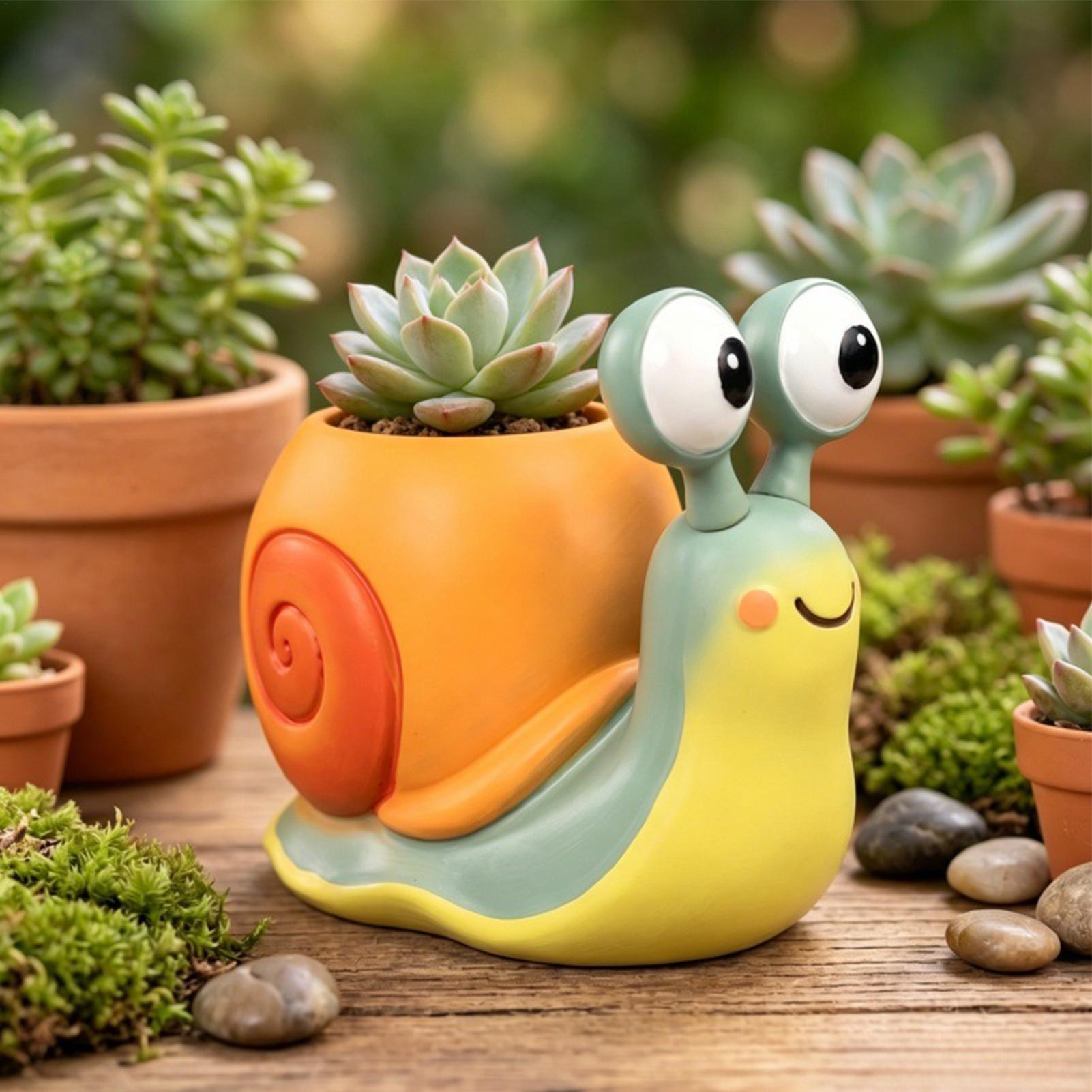 Salyangoz Şeklinde Saksı Salya - Succulent Set incelemesi ve fiyatı