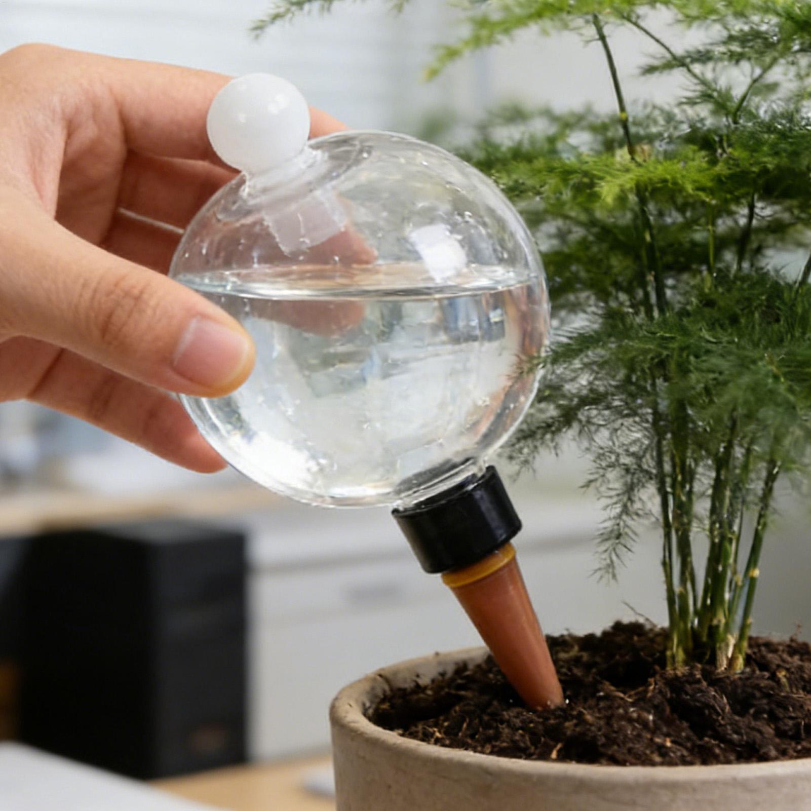 Bitki Sulama Topları 4 adet 50 - Succulent Set incelemesi ve fiyatı