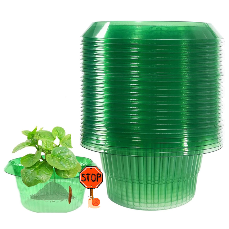 5-25 adet bitkiler sümüklüböce - Terracotta Pot incelemesi ve fiyatı