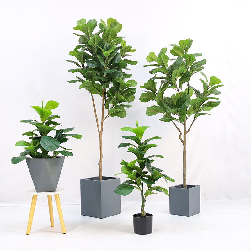 Yapay Plastik Saksılı Bitki, F - Fiddle Leaf Fig incelemesi ve fiyatı