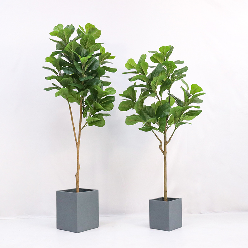 Yapay Plastik Saksılı Bitki, F - Fiddle Leaf Fig incelemesi ve fiyatı