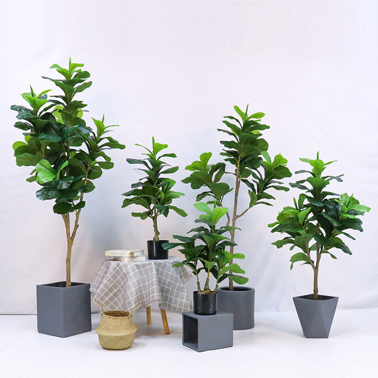 Yapay Plastik Saksılı Bitki, F - Fiddle Leaf Fig incelemesi ve fiyatı