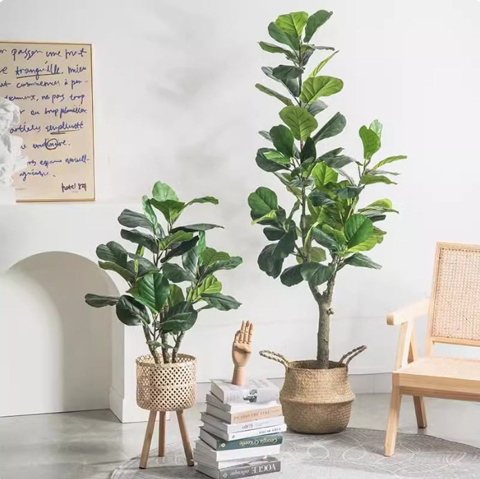 Yapay Plastik Saksılı Bitki, F - Fiddle Leaf Fig incelemesi ve fiyatı