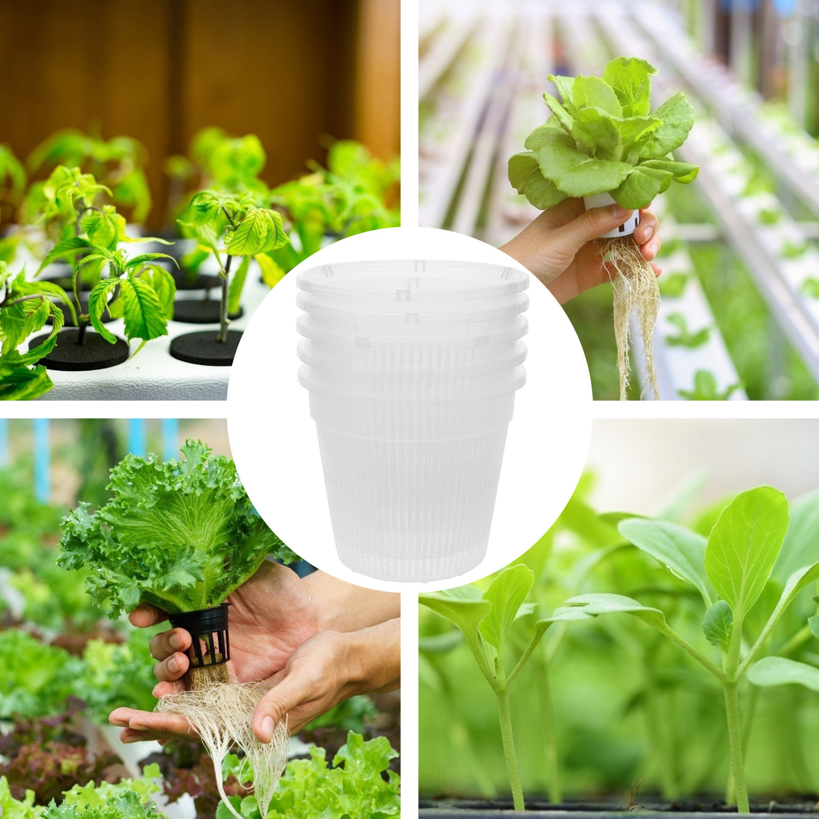 5 Adet Hidroponik Bitki Yetişt - Indoor Plants incelemesi ve fiyatı