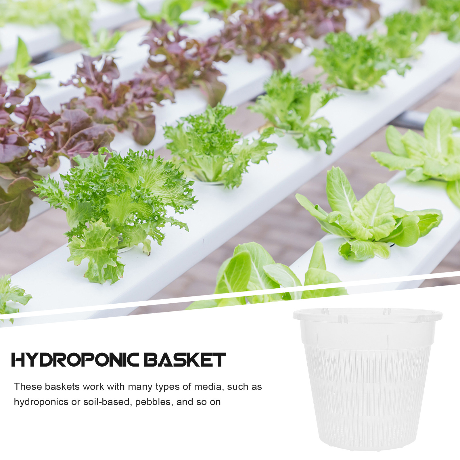 5 Adet Hidroponik Bitki Yetişt - Indoor Plants incelemesi ve fiyatı