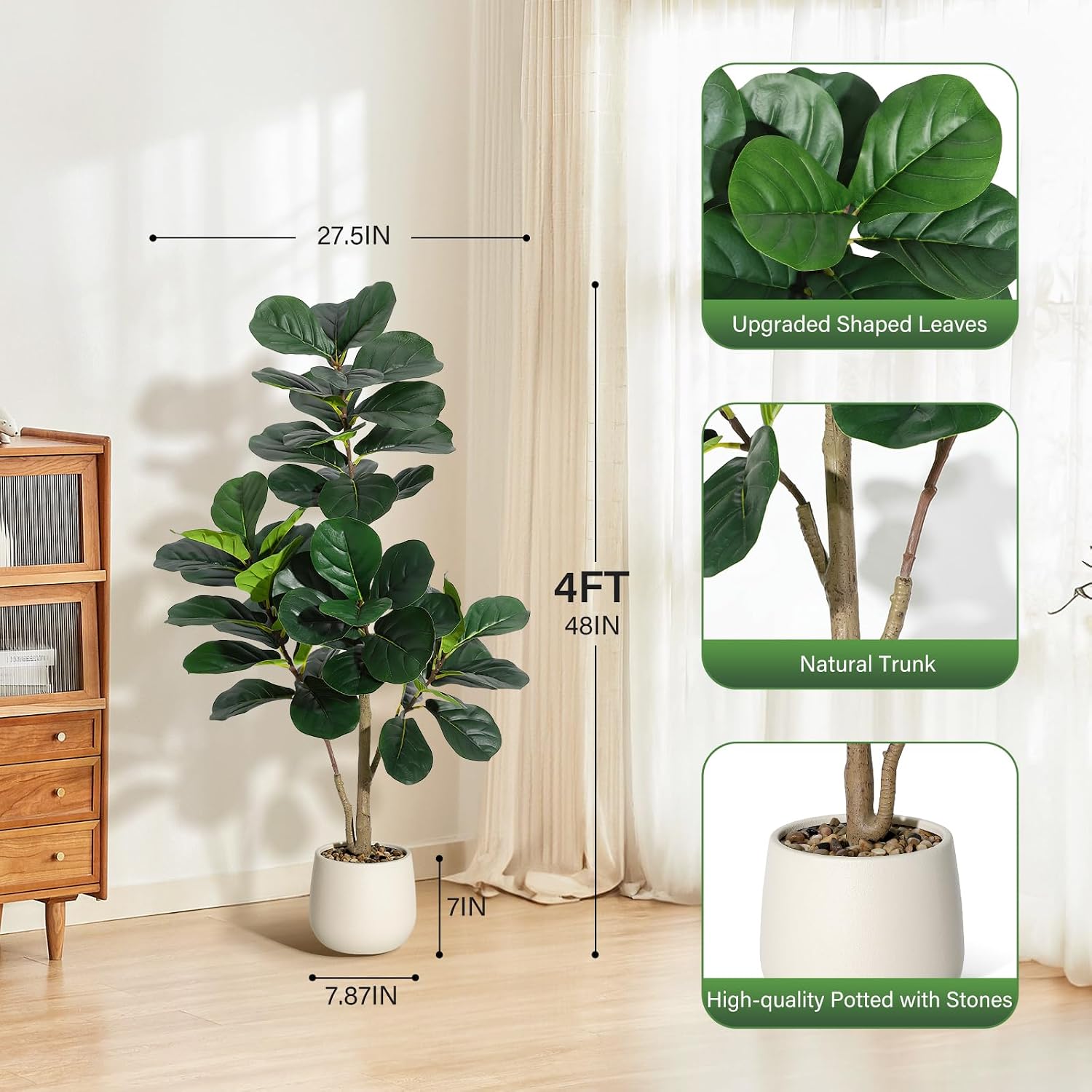 4 ft (1,2 metre) yüksekliğinde - Fiddle Leaf Fig incelemesi ve fiyatı
