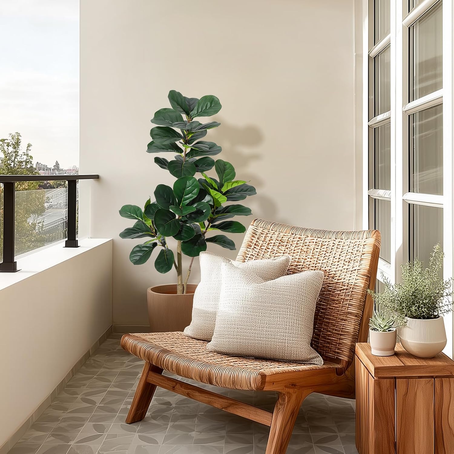 4 ft (1,2 metre) yüksekliğinde - Fiddle Leaf Fig incelemesi ve fiyatı