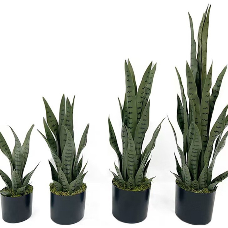 40-100cm Yapay Sansevieria Yıl - Fiddle Leaf Fig incelemesi ve fiyatı