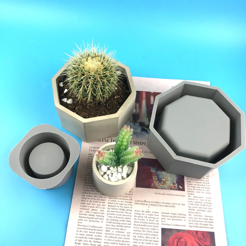 El yapımı çiçeklik saksı silik - Succulent Set incelemesi ve fiyatı