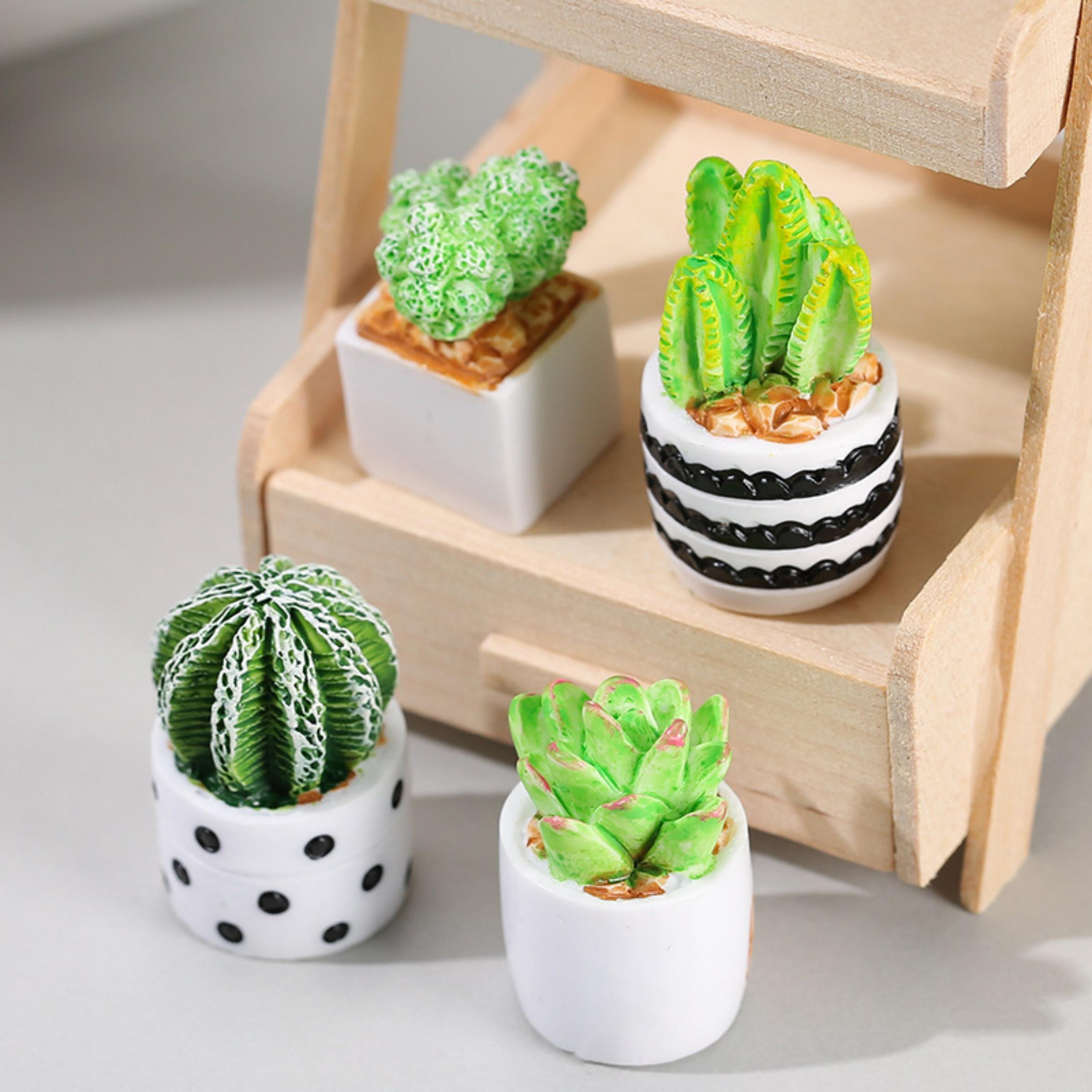 4 Parçalı Kaktüs Sukulent Saks - Succulent Set incelemesi ve fiyatı
