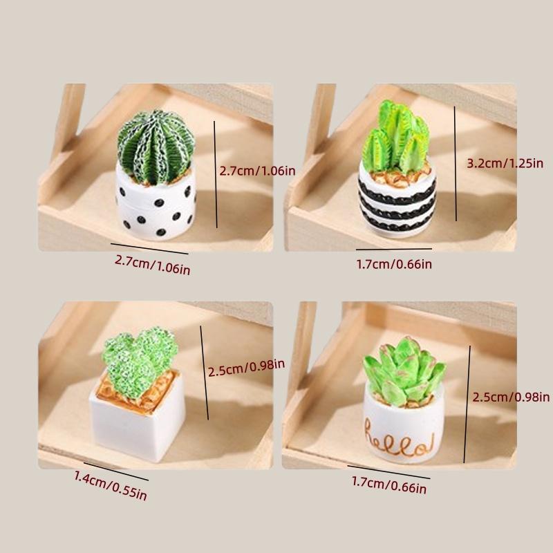 4 Parçalı Kaktüs Sukulent Saks - Succulent Set incelemesi ve fiyatı