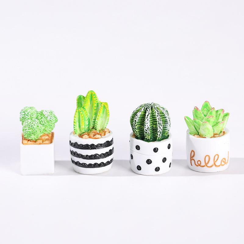 4 Parçalı Kaktüs Sukulent Saks - Succulent Set incelemesi ve fiyatı