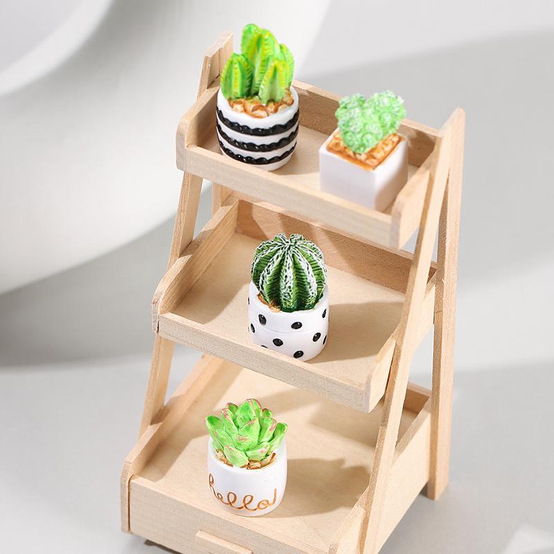 4 Parçalı Kaktüs Sukulent Saks - Succulent Set incelemesi ve fiyatı