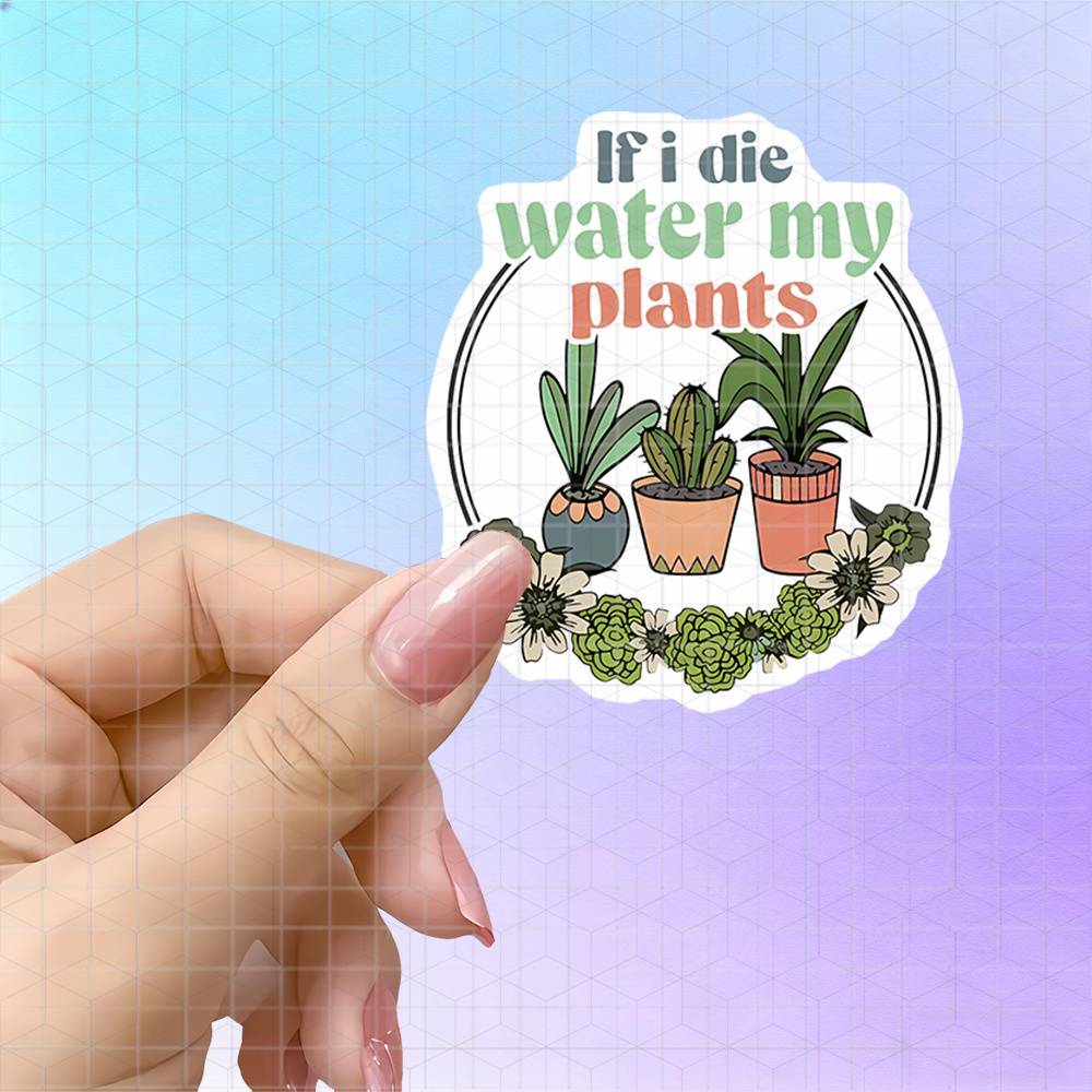 Saksıda Bitkiler, Çiçekli Çele - The Plant Parent incelemesi ve fiyatı