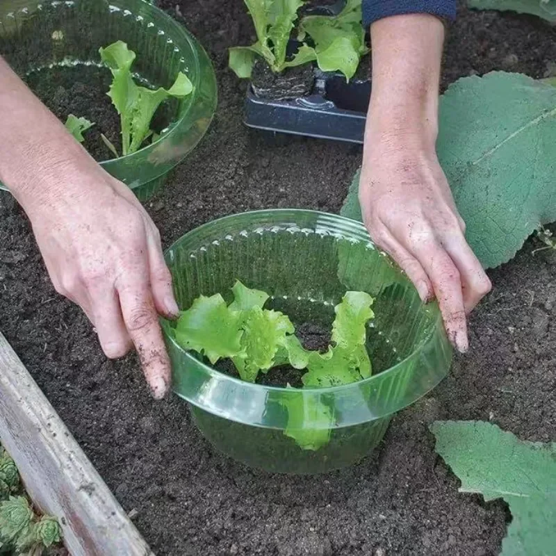 Bitkiler Sümüklüböcek Koruma H - Terracotta Pot incelemesi ve fiyatı
