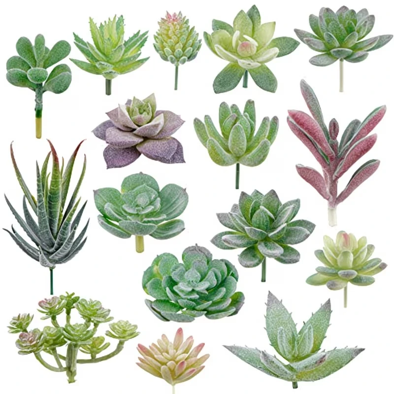 10/20 adet PVC Succulents Bitk - Snake Plant incelemesi ve fiyatı